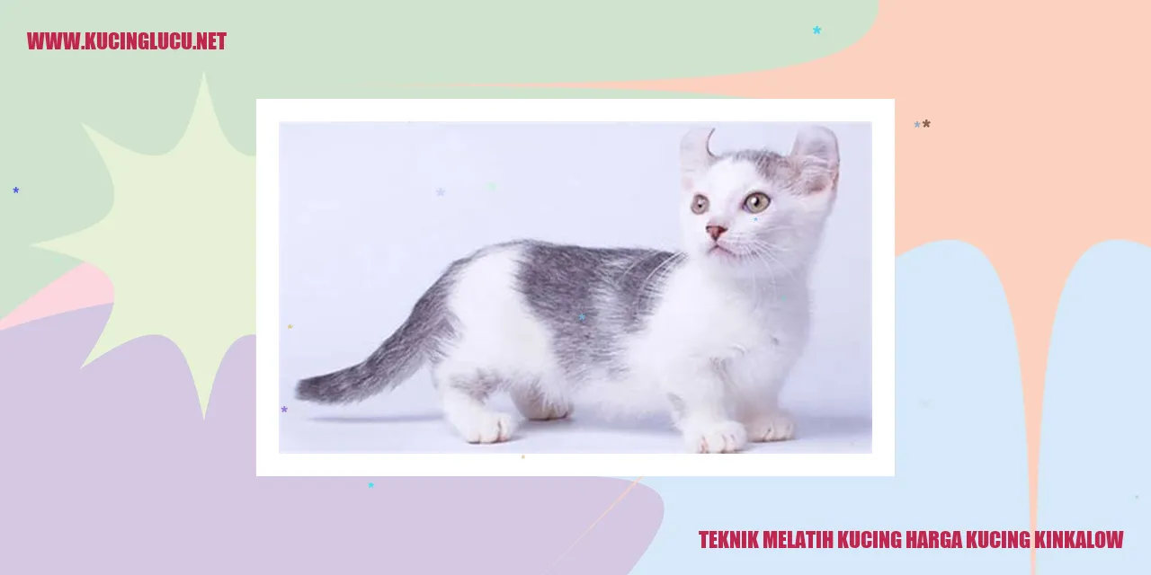 Kucing kinkalow