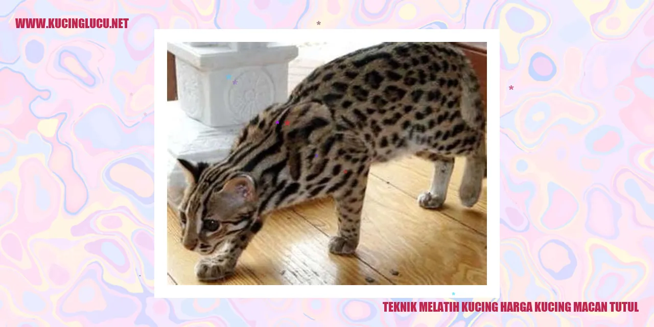 Gambar Kucing Macan Tutul