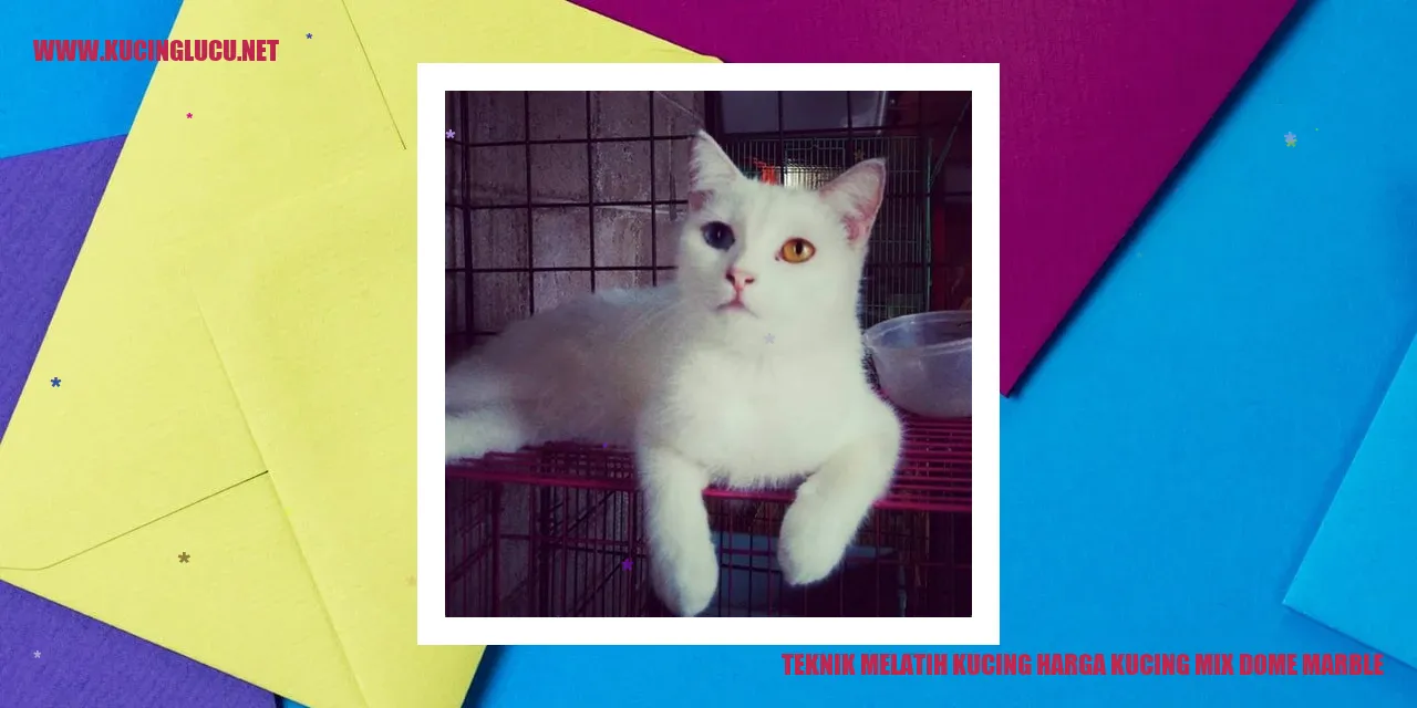 Gambar Kucing Mix Dome Marble