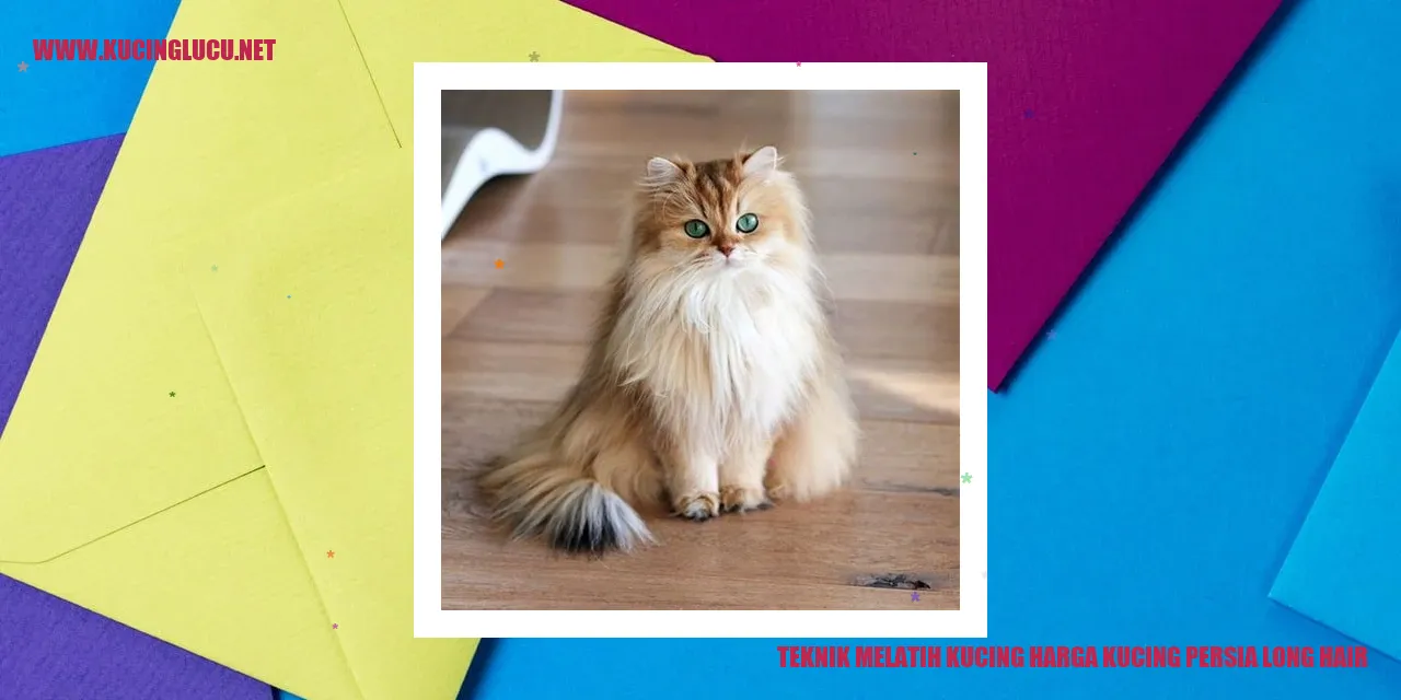 Kucing Persia Long Hair