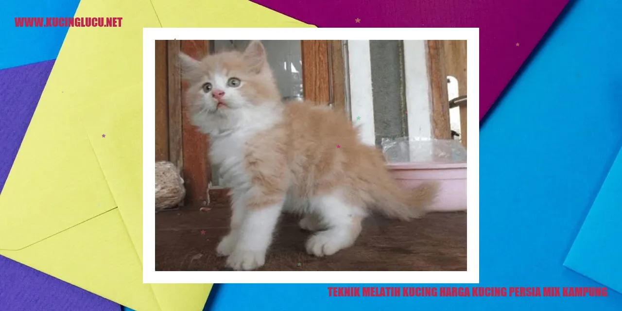 Teknik Melatih Kucing harga kucing persia mix kampung