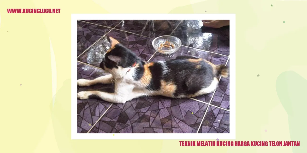 Gambar Kucing yang Menggemaskan