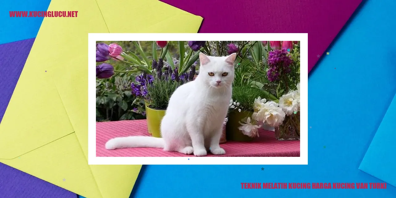 Kucing Van Turki