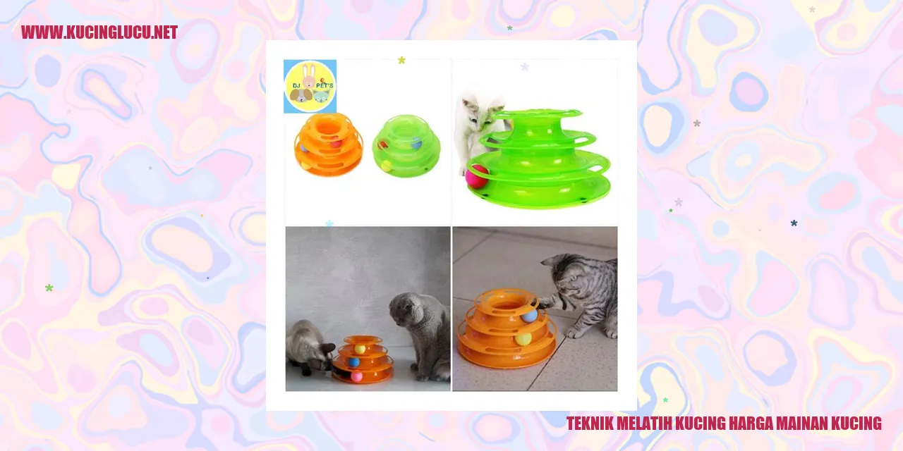 Kucing sedang bermain dengan mainan