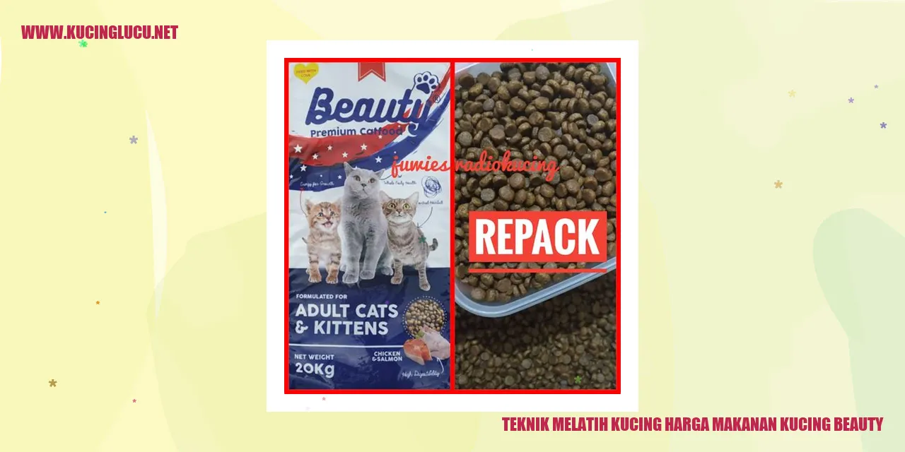 Gambar Kucing Kecantikan