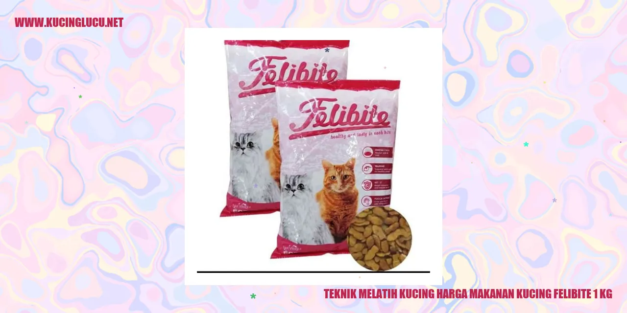 gambar kucing