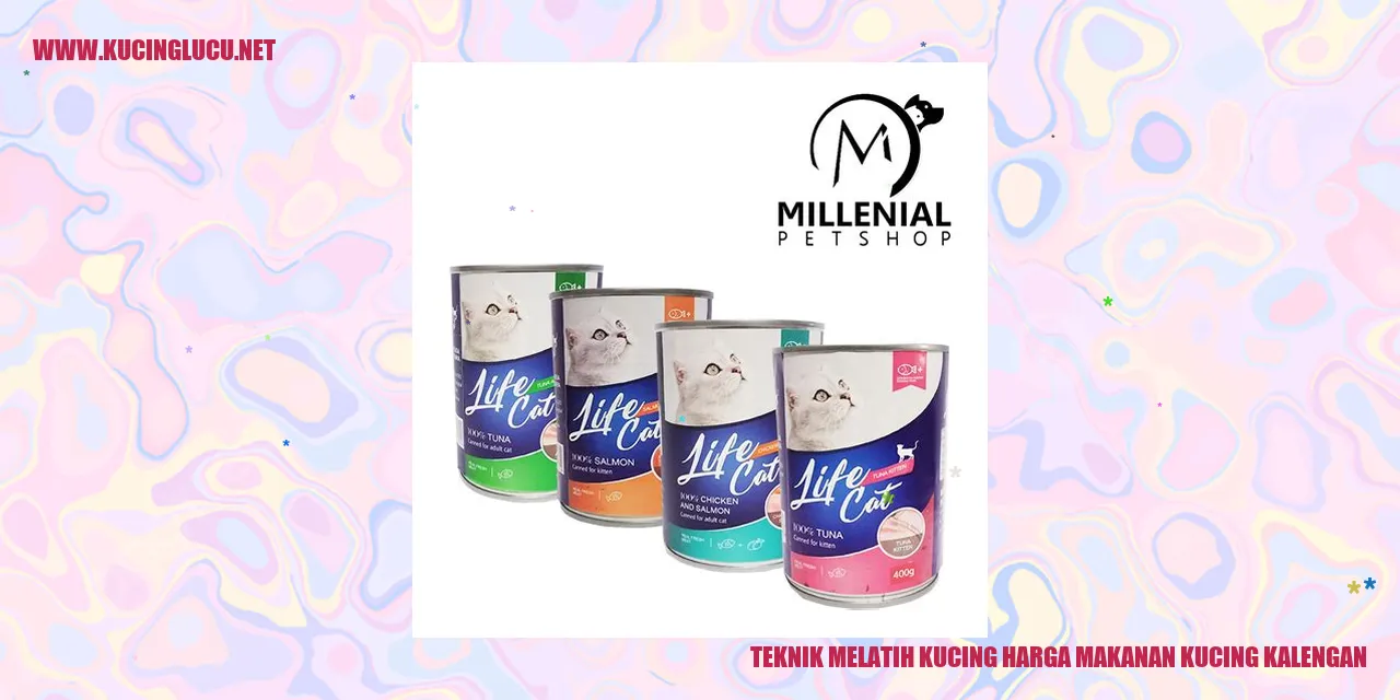Gambar Kucing dengan Makanan Kalengan
