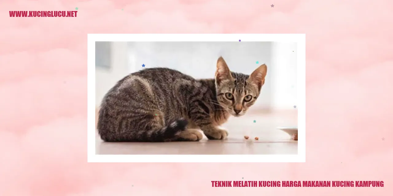 Gambar Kucing