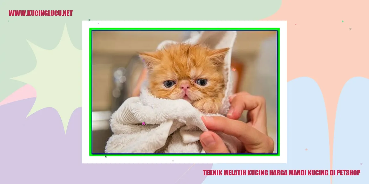 Gambar kucing sedang mandi