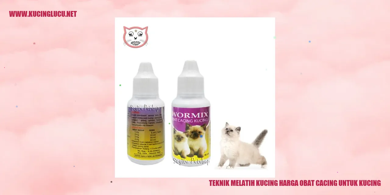 Teknik Melatih Kucing harga obat cacing untuk kucing