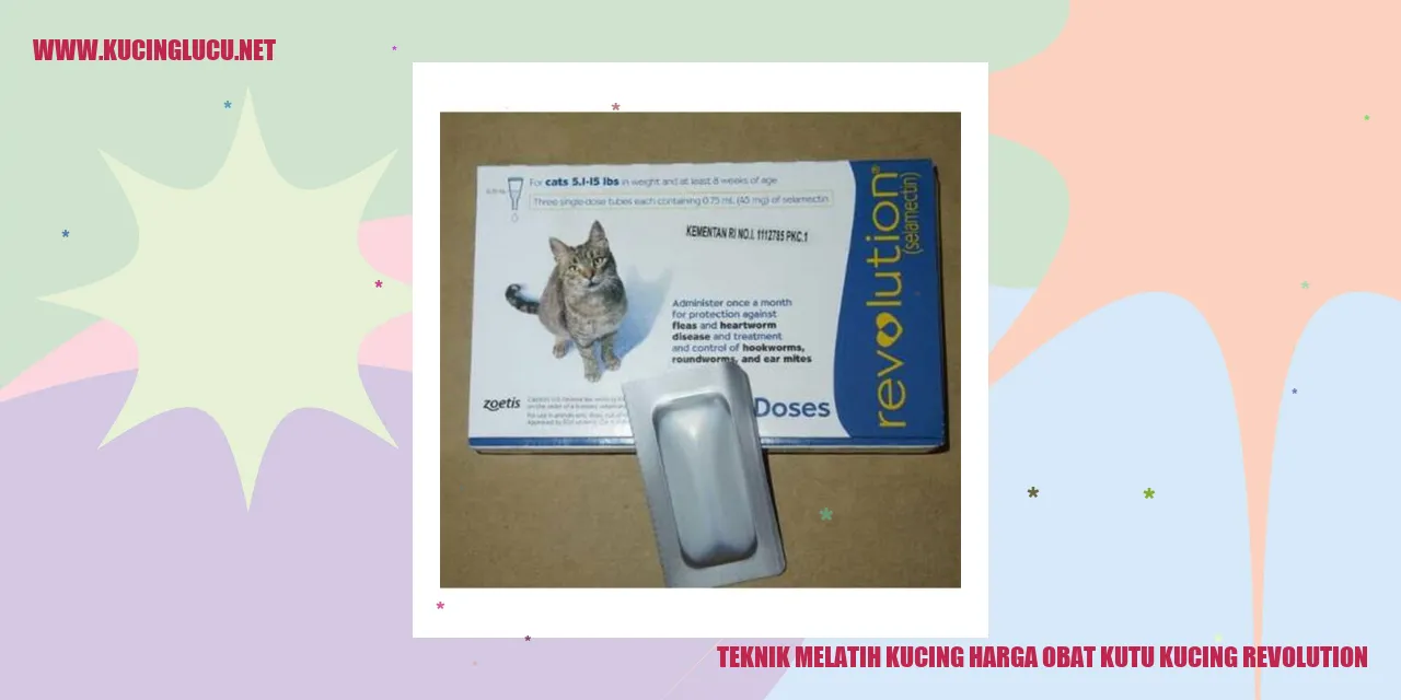 Teknik Melatih Kucing