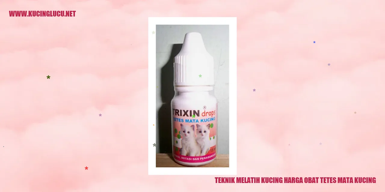 Kucing Menggunakan Obat Tetes Mata