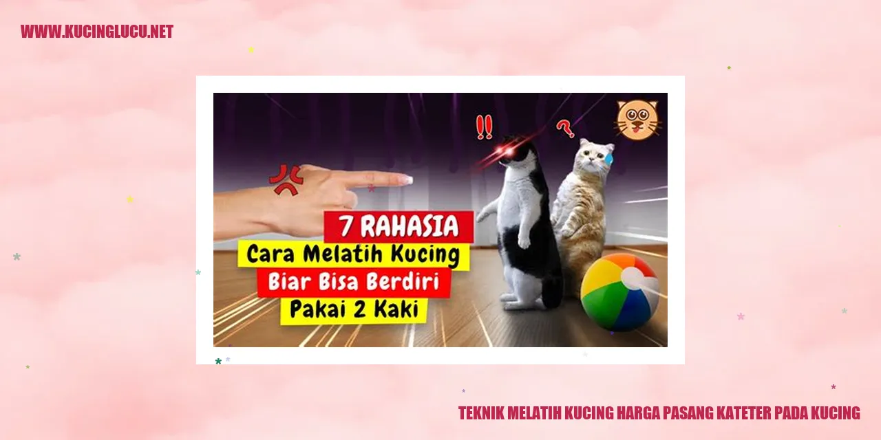 Teknik Melatih Kucing harga pasang kateter pada kucing