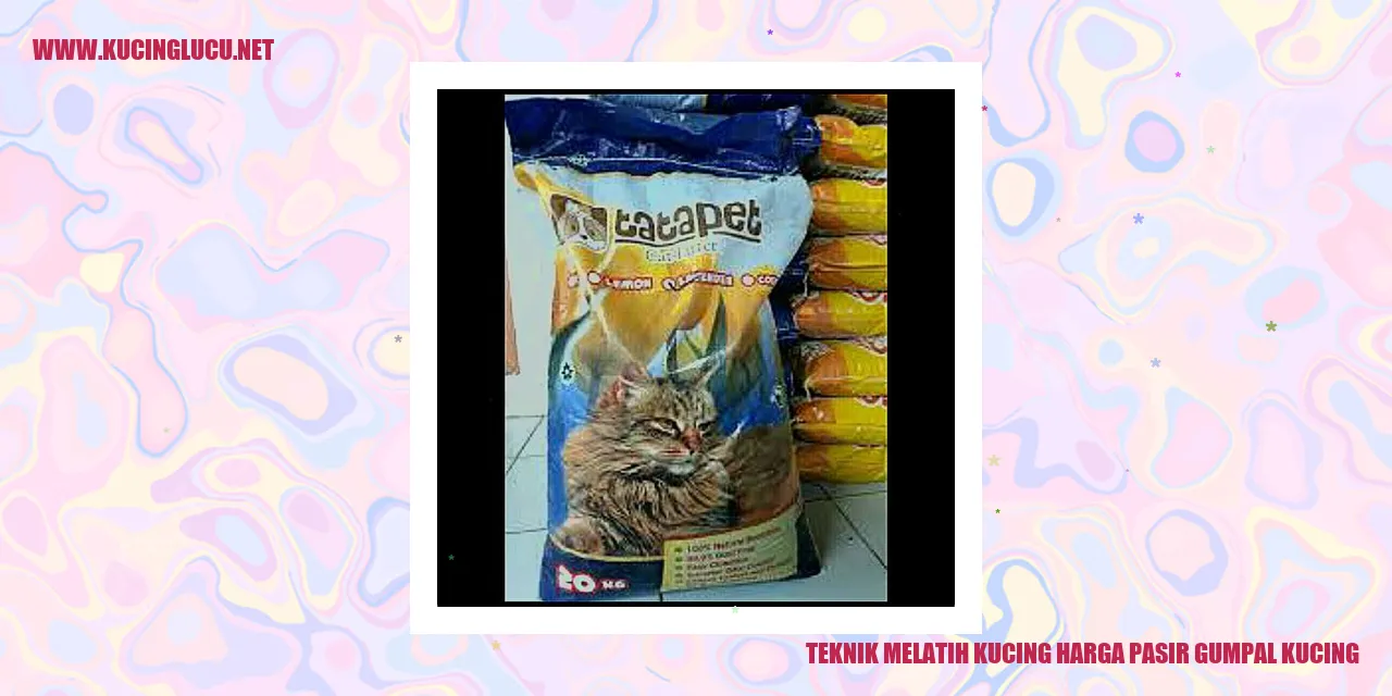 Gambar Teknik Melatih Kucing