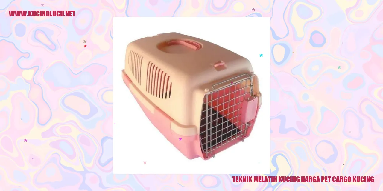 Gambar lucu seekor kucing yang sedang duduk