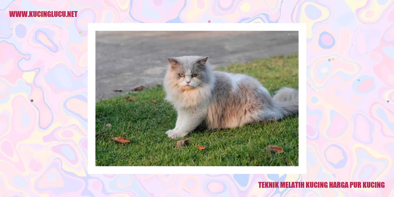 gambar kucing menggemaskan