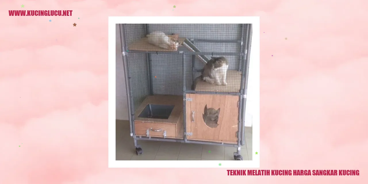 Sangkar Kucing