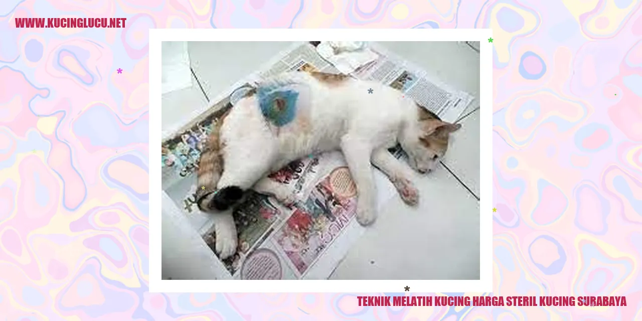 Gambar Seorang Kucing dalam Proses Latihan