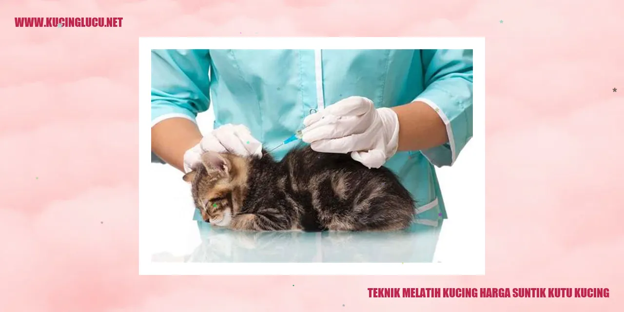 Teknik Melatih Kucing harga suntik kutu kucing