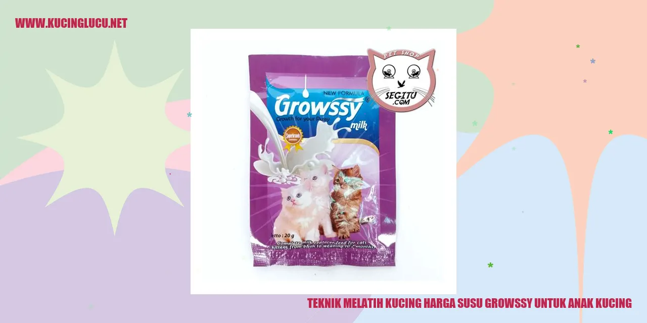 Gambar Kucing