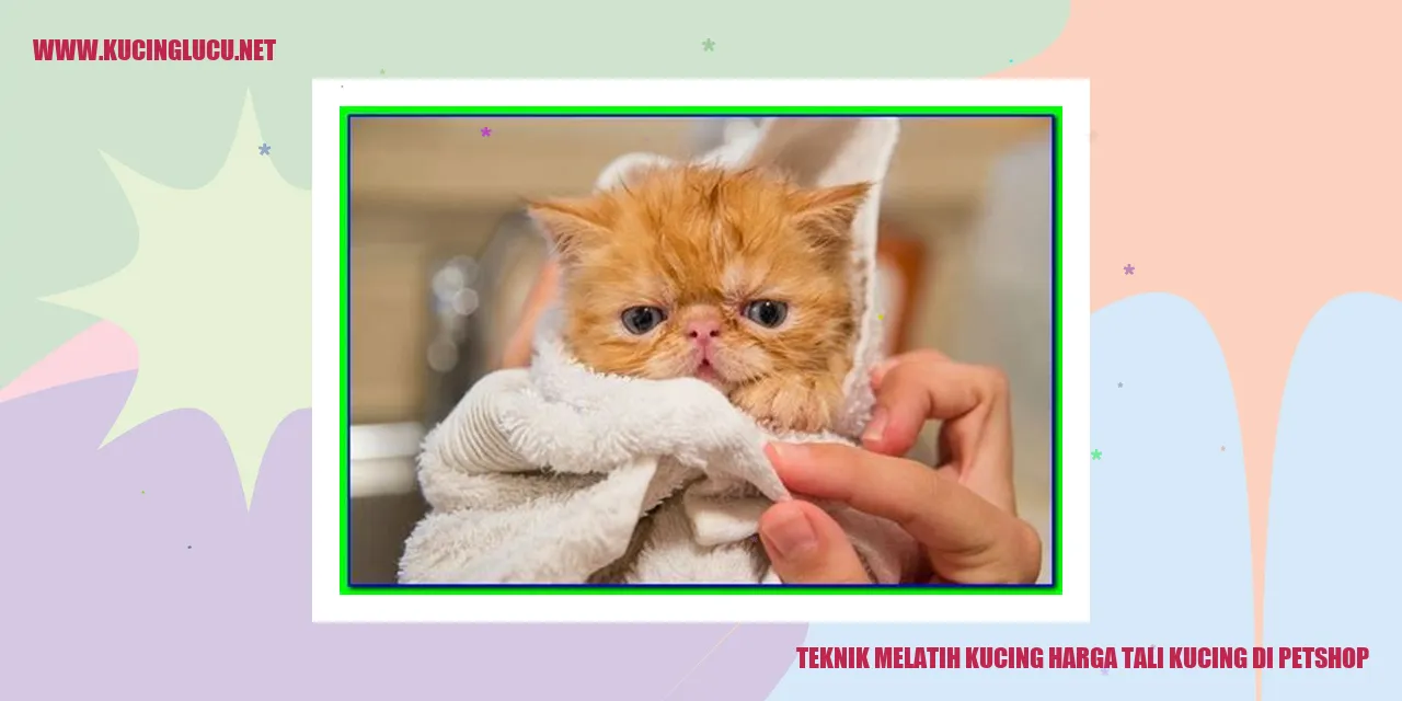 Kucing Menggunakan Tali
