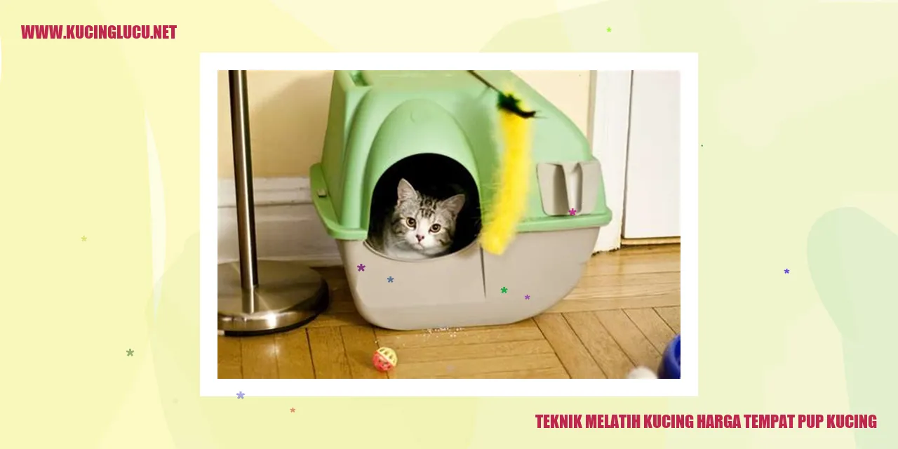 Teknik Melatih Kucing