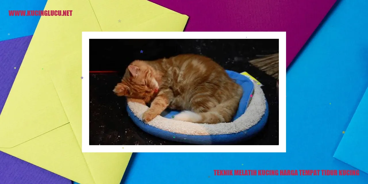Gambar Kucing yang Nyaman di Tempat Tidur Kucing