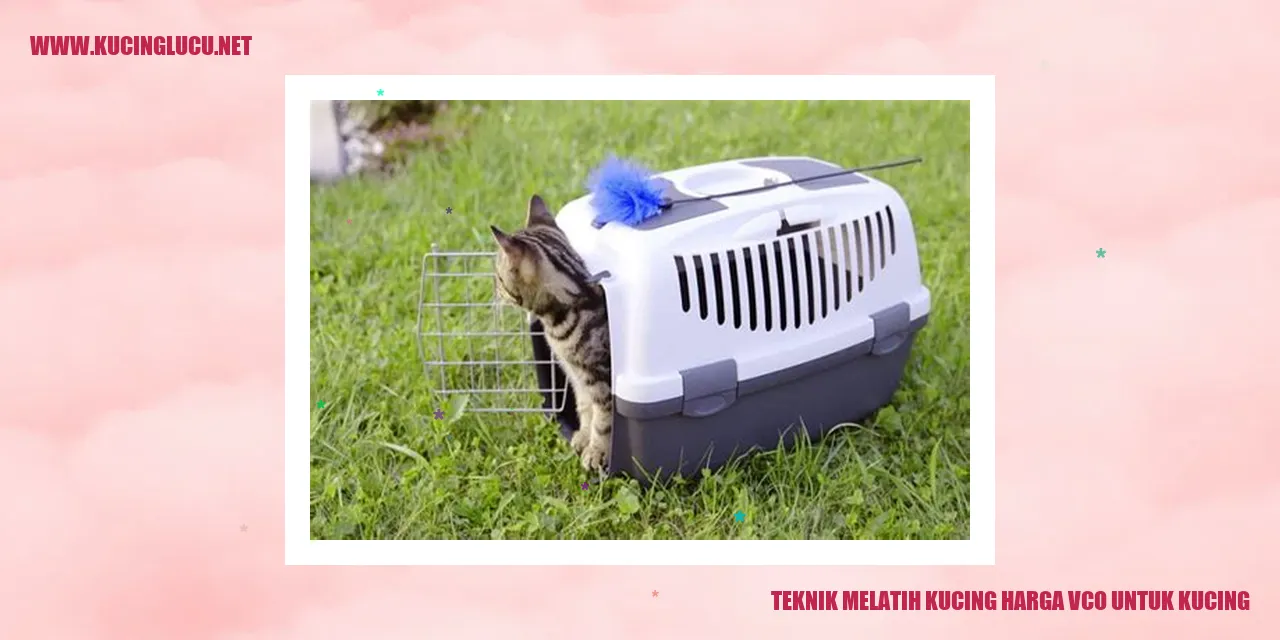 Teknik Melatih Kucing dengan Harga VCO untuk Kucing