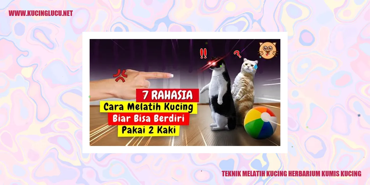 Gambar Kucing Herbarium Kumis Kucing
