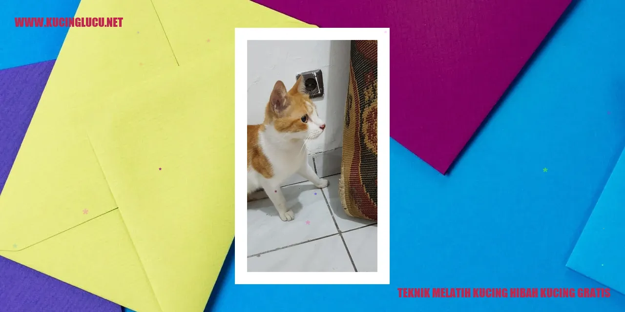 Teknik Melatih Kucing Gratis