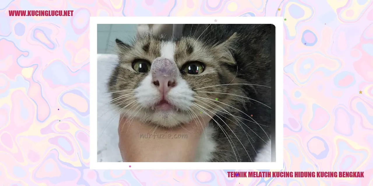 Kucing sedang mengalami bengkak pada hidung