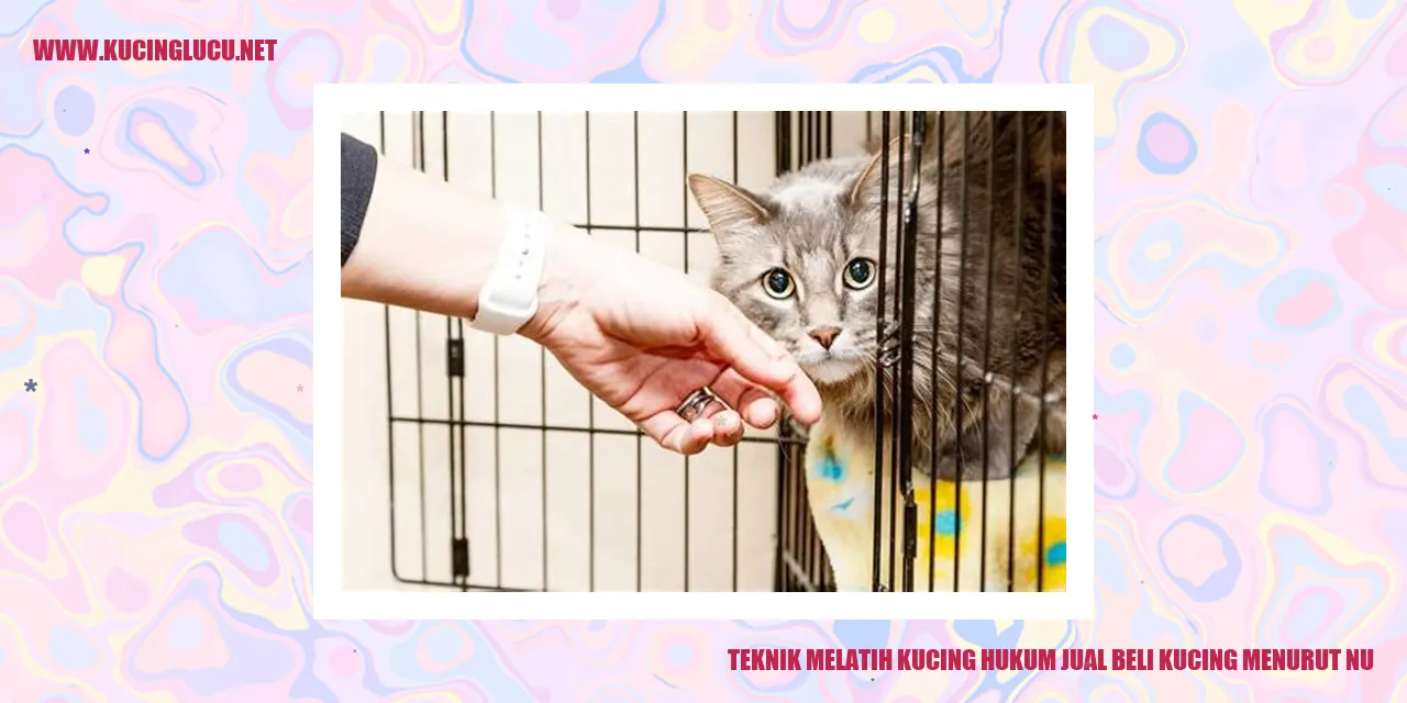 gambar kucing