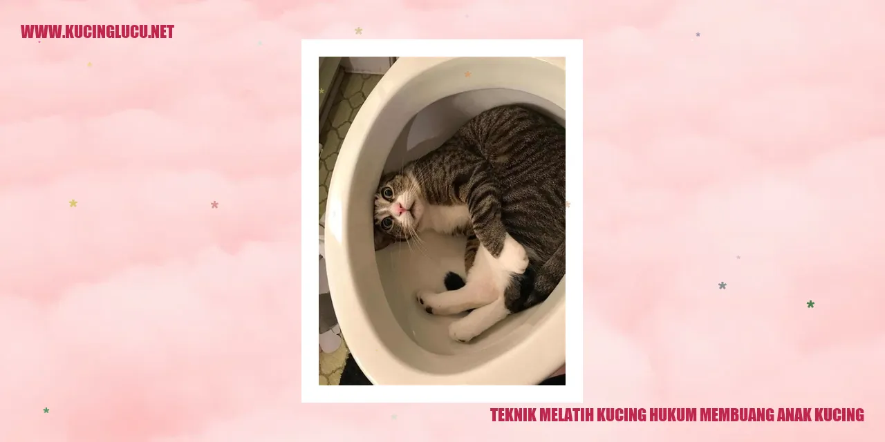 Gambar Menggemaskan Kucing