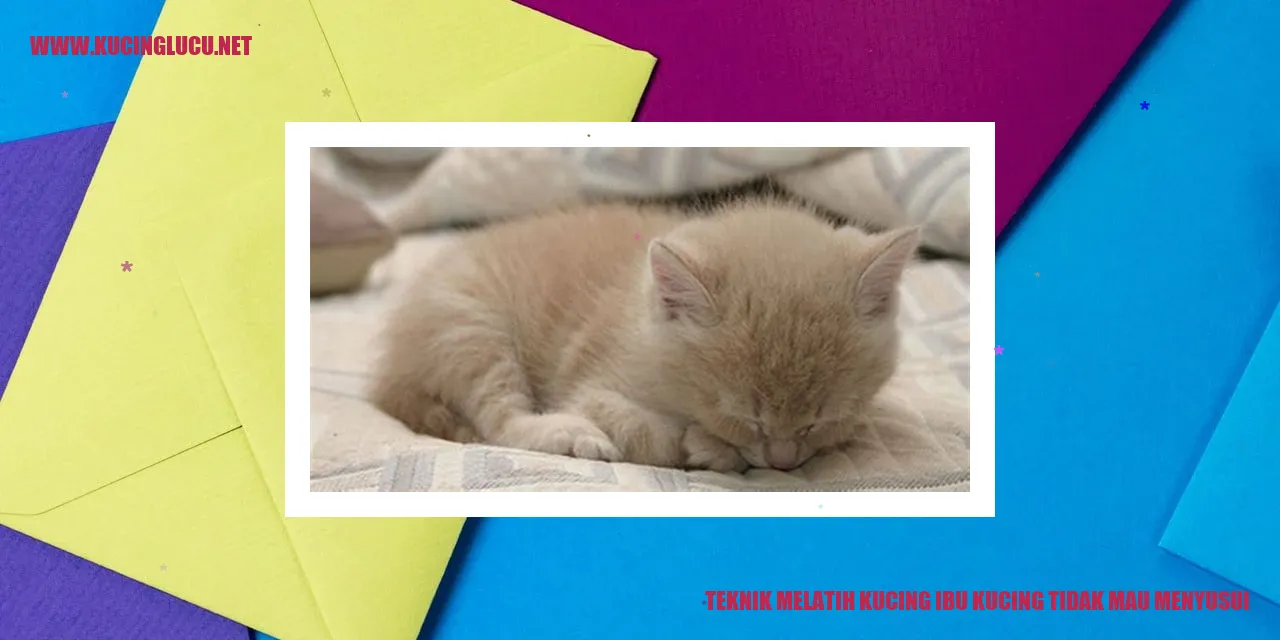 Ibu kucing dan anak kucing