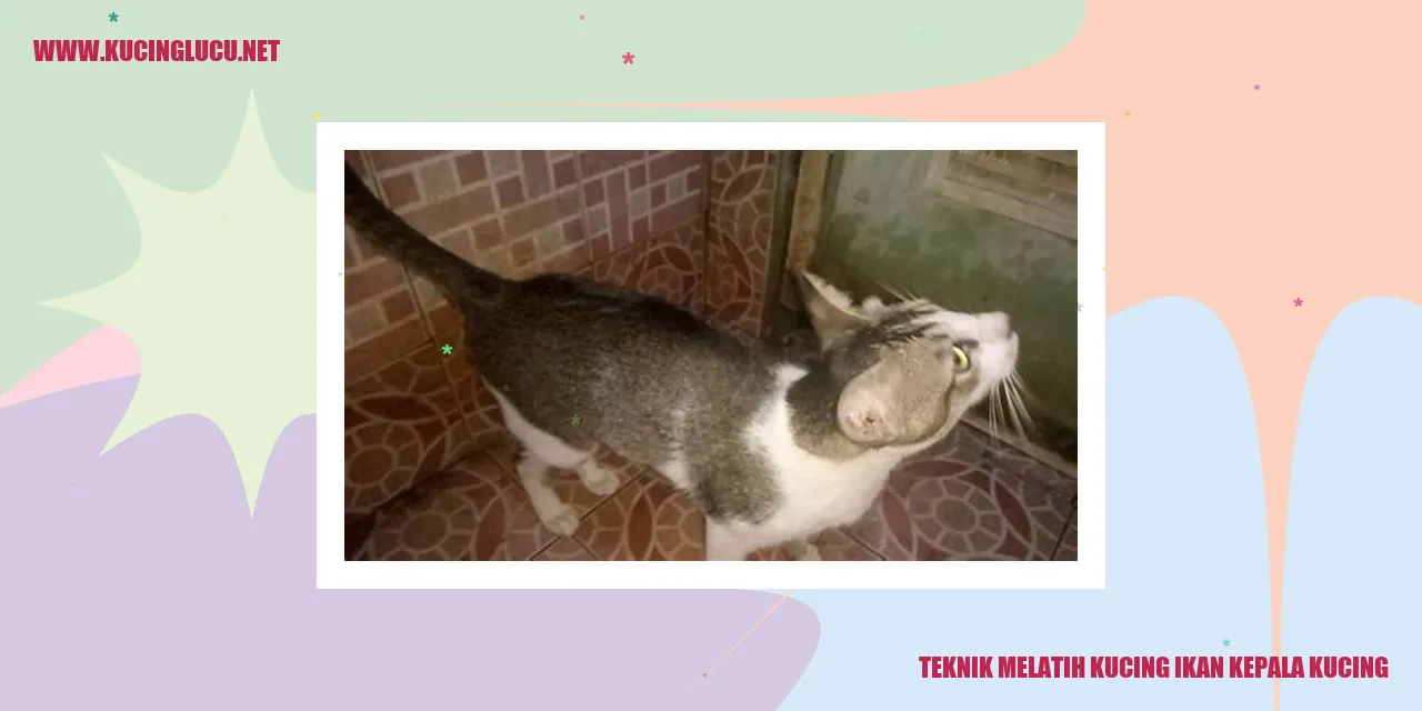 Gambar Kucing ikan kepala kucing