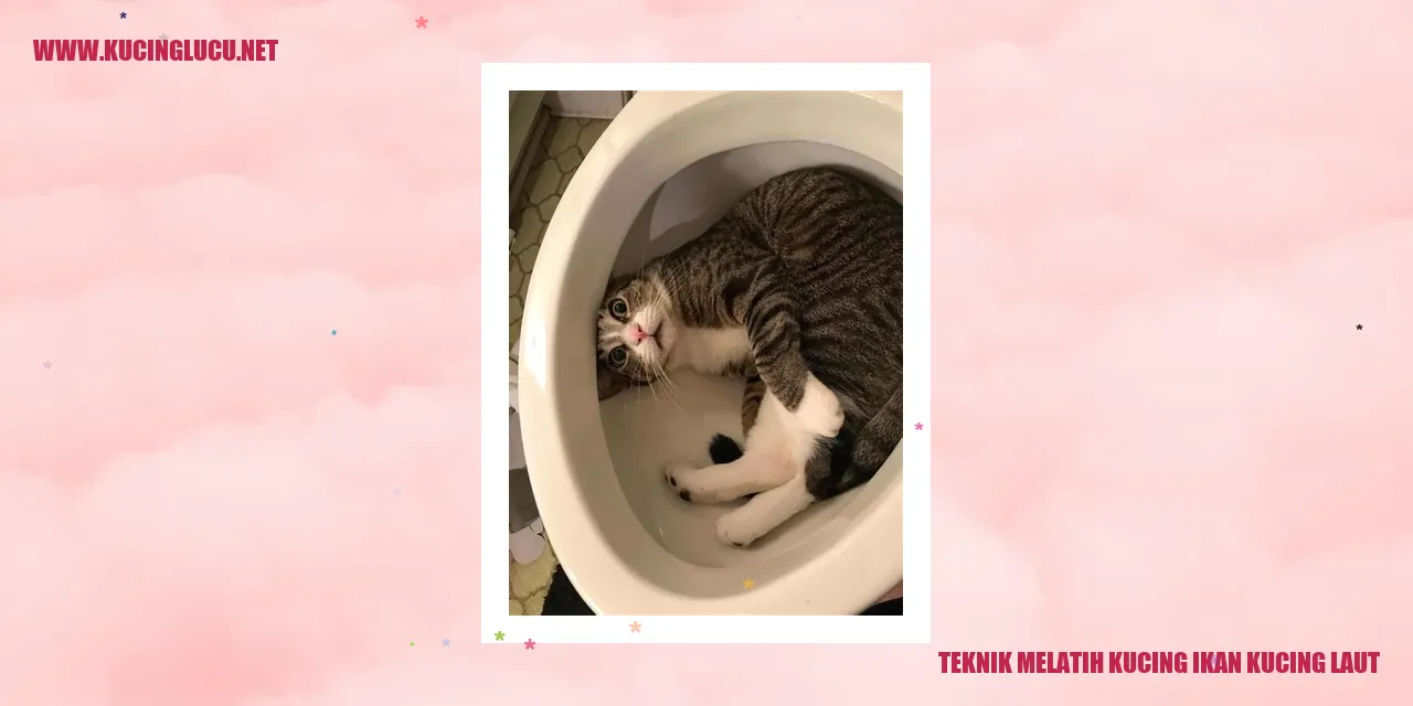 Teknik Melatih Kucing ikan kucing laut
