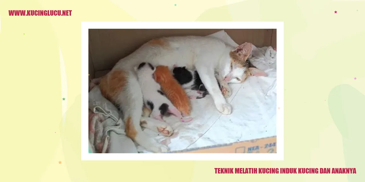 Kucing Induk dan Anaknya