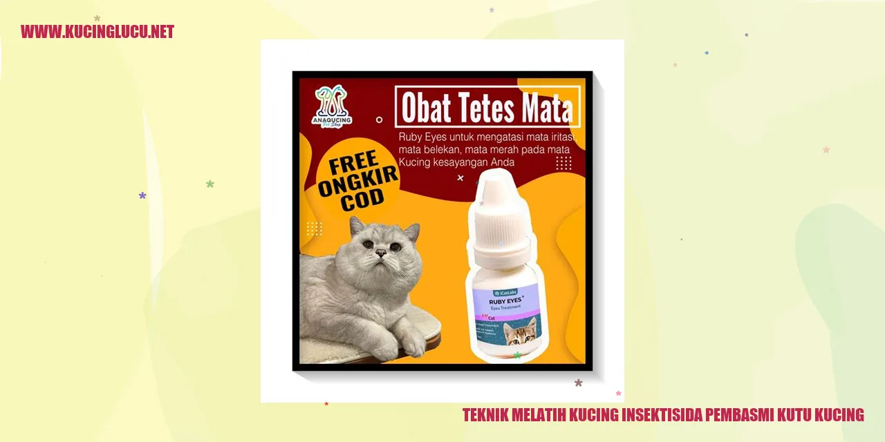 Teknik Melatih Kucing menggunakan Insektisida Pembasmi Kutu Kucing