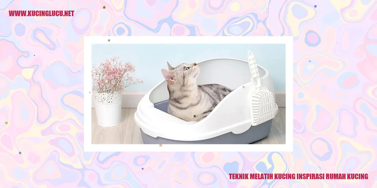 Pelatihan Kucing
