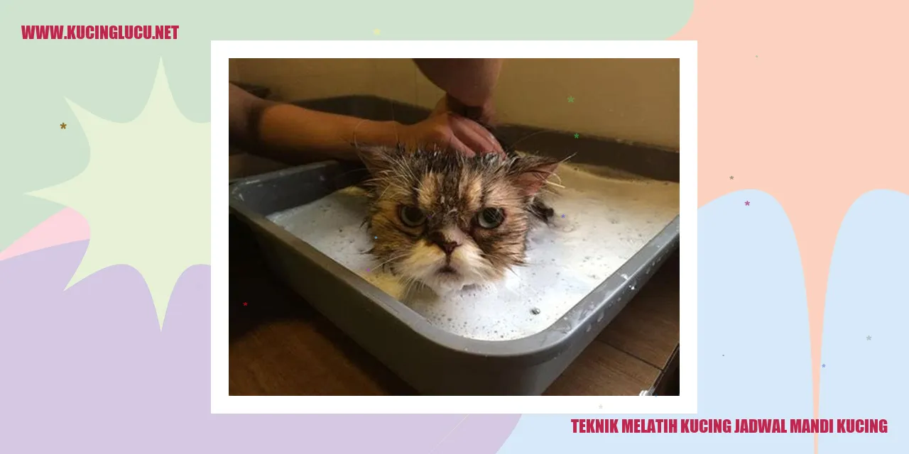 Teknik Melatih Kucing jadwal mandi kucing