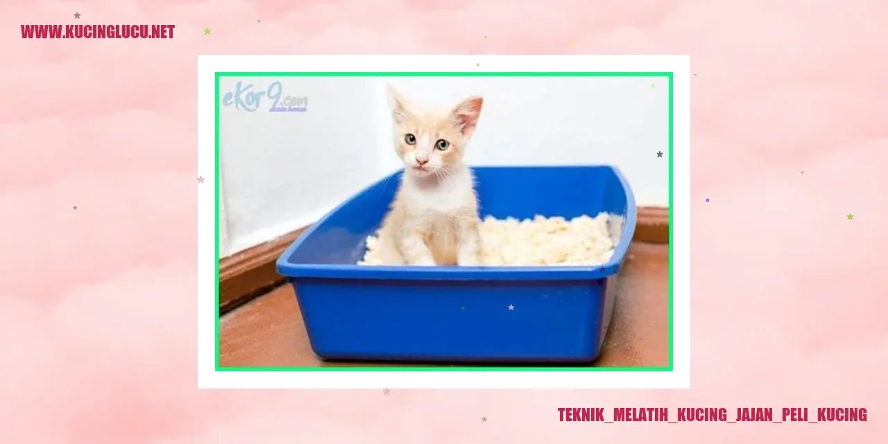 Teknik Melatih Kucing Jajan Peli Kucing