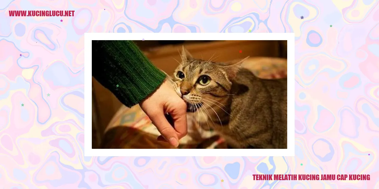 Kucing jamu cap kucing