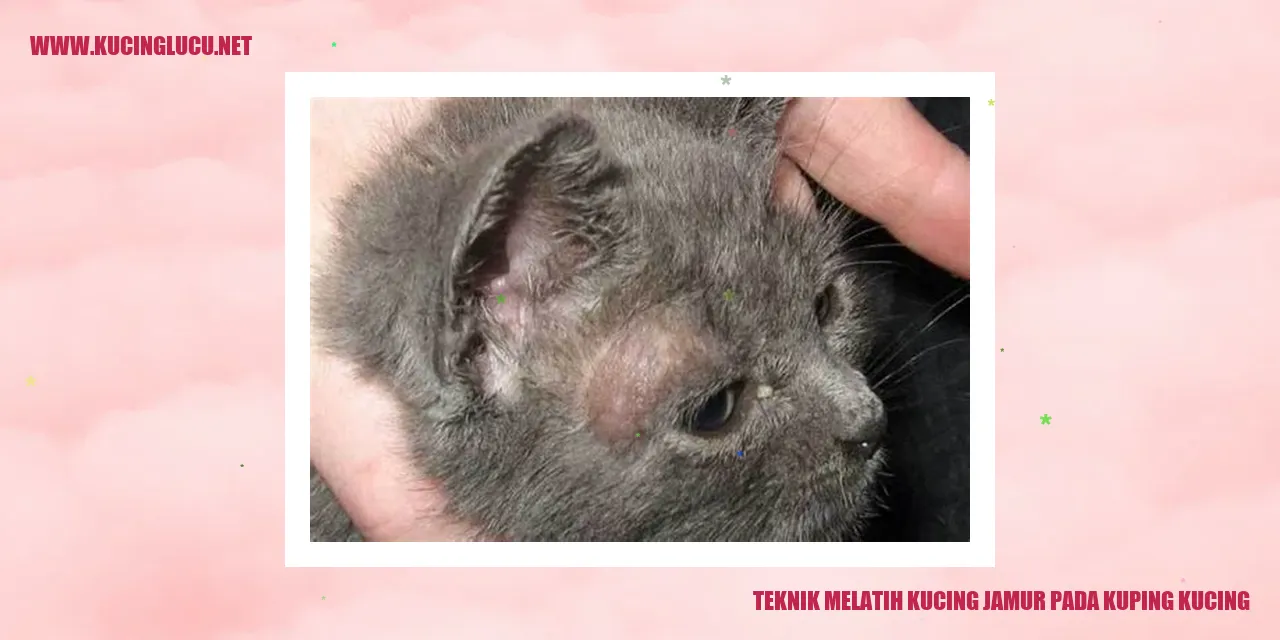 Kucing menghadapi jamur kuping