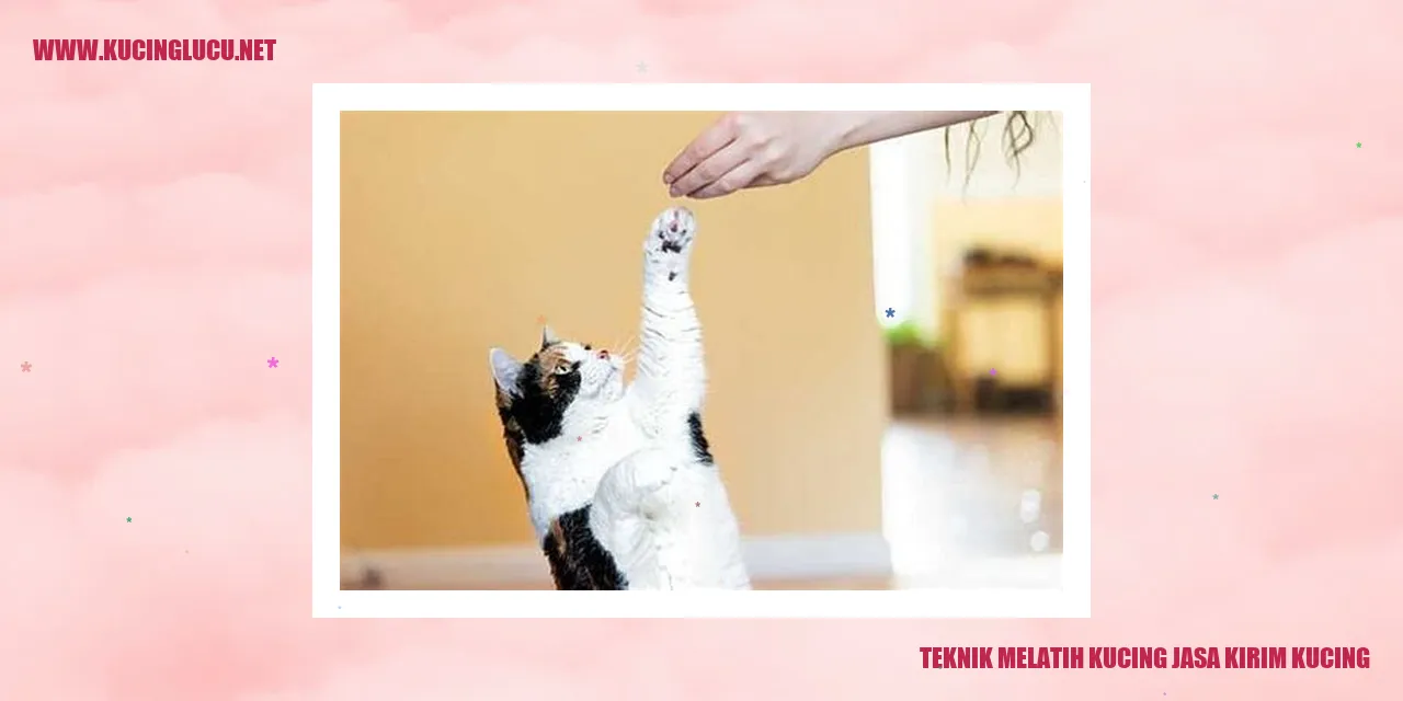 Gambar Kucing