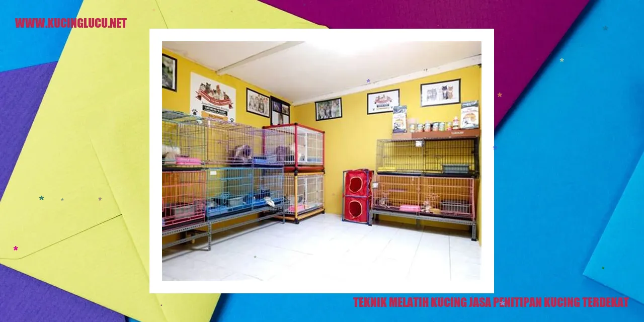 Teknik Melatih Kucing jasa penitipan kucing terdekat