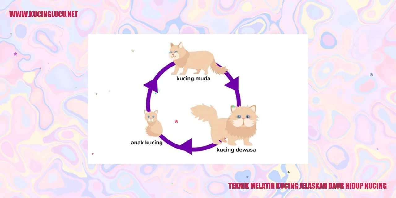 Ilustrasi Kucing