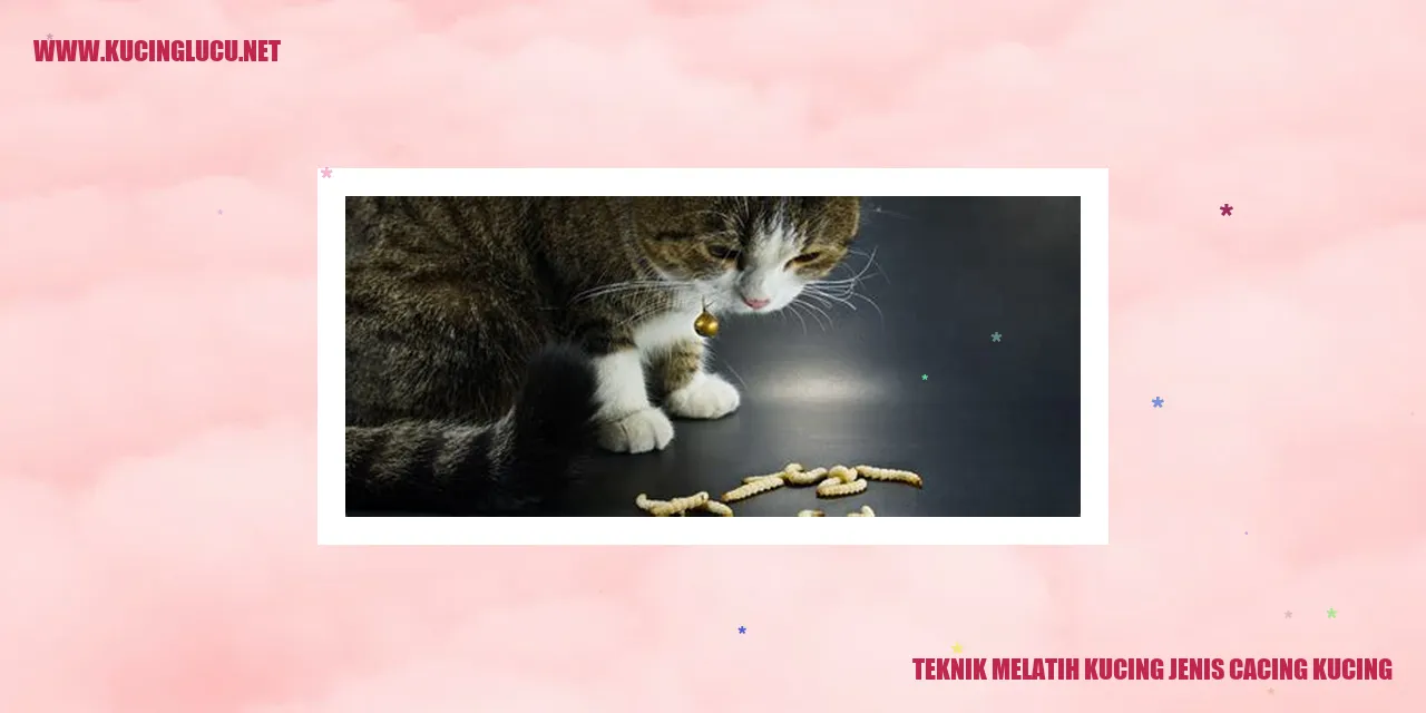 Kucing jenis cacing kucing