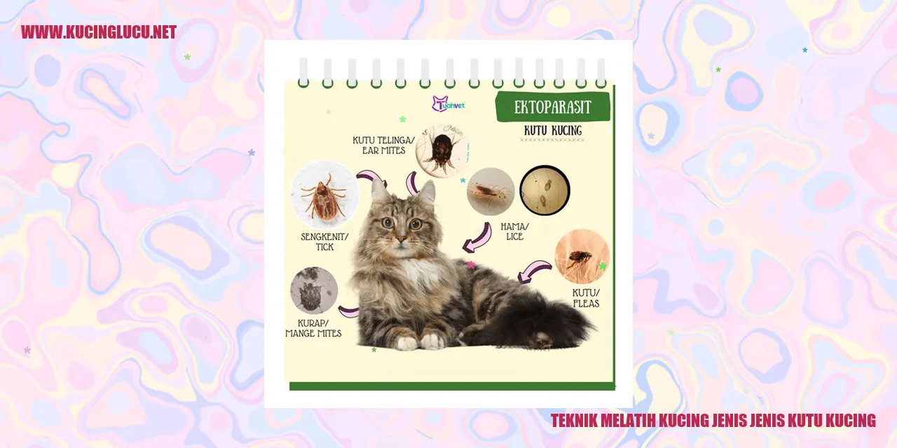 Teknik Melatih Kucing jenis jenis kutu kucing