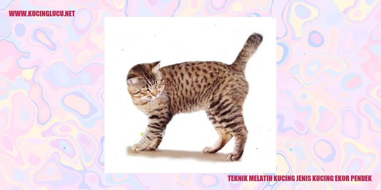 gambar kucing ekor pendek