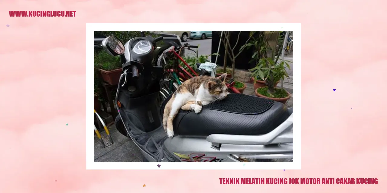Gambar Kucing di Jok Motor